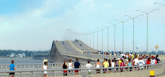 gulf coast bridge
