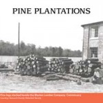 pineplantations